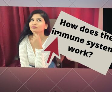 How does the immune system work?