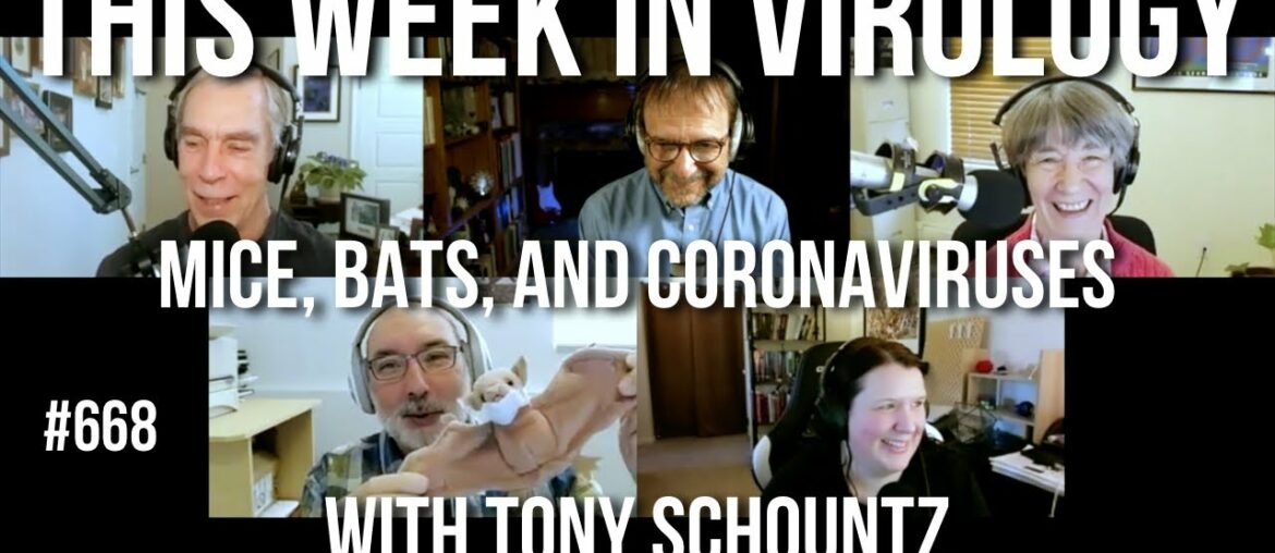 TWiV 668: Mice, bats, and coronaviruses with Tony Schountz