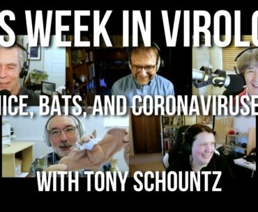 TWiV 668: Mice, bats, and coronaviruses with Tony Schountz