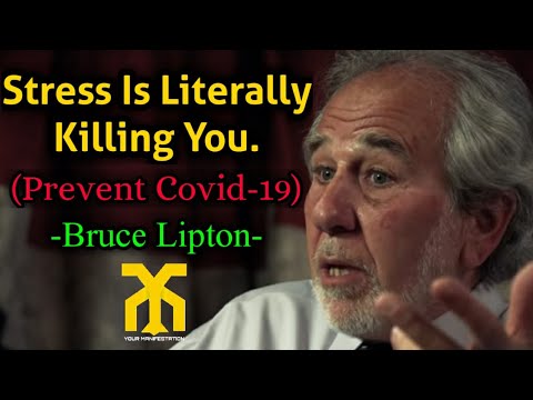 Stress Is Literally Killing You|Bruce Lipton