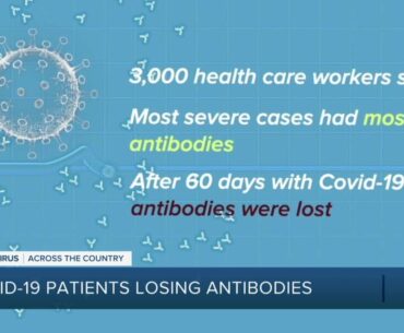 COVID-19 antibodies are disappearing faster than we first thought