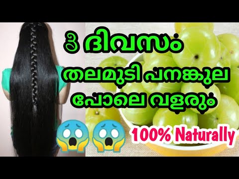 HAIR GROWTH HACKS | HAIR CARE TIPS & TRICKS _ MALAYALAM BEAUTY TIPS