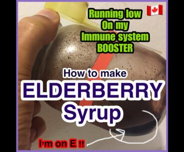 Elderberry Immune Booster Syrup | Alkaline | Pre-Covid19 Help | Chef Levi