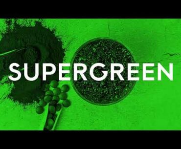 Vegan Superfood Supplement   Xenca Supergreen Berry Blend