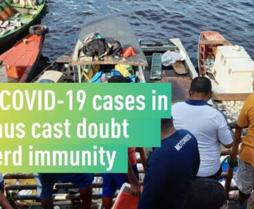New COVID-19 cases in Manaus cast doubt on herd immunity - TBR Weekly #22