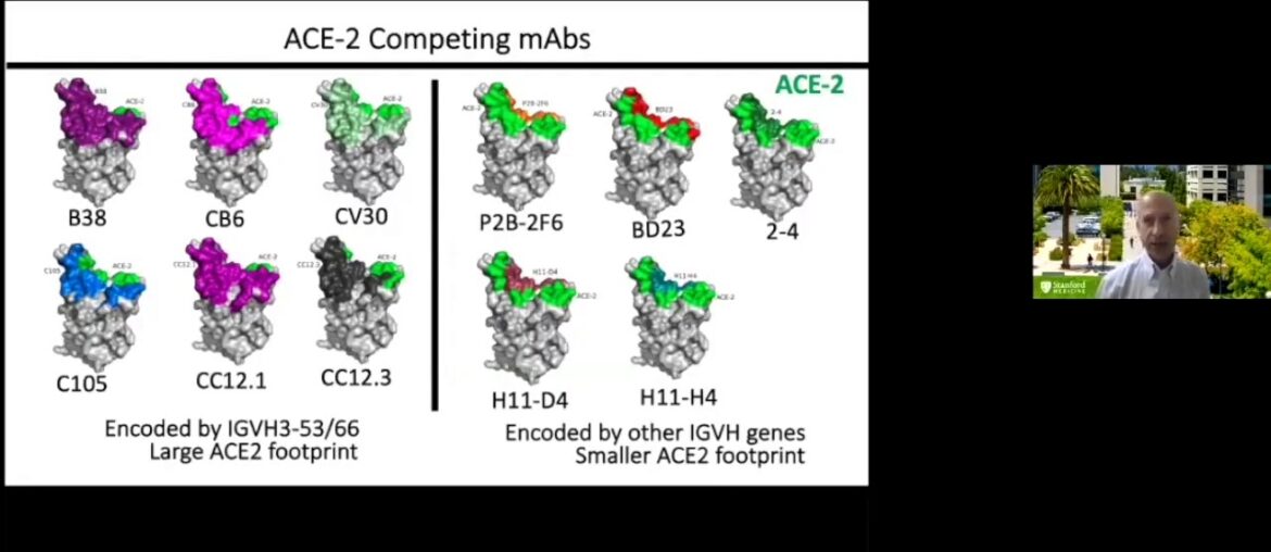 Monoclonal Antibodies for the Prevention and Treatment of COVID 19