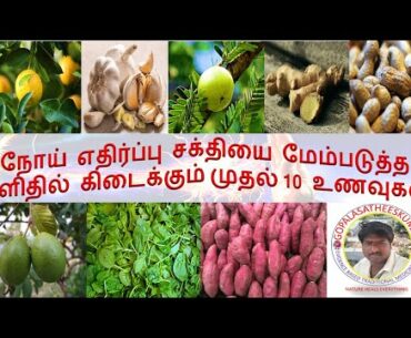 Immune boosting foods in tamil | Immunity booster | Top 10 immune boosting foods | immune boosting