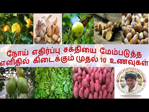 Immune boosting foods in tamil | Immunity booster | Top 10 immune boosting foods | immune boosting