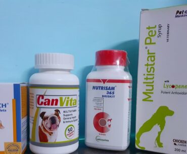 Best multivitamin for dog, multivitamin for dogs growth, uses of multivitamin for pets