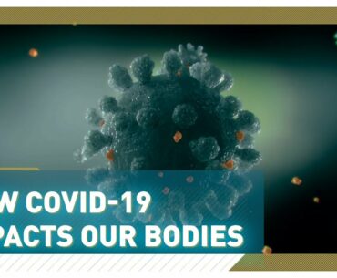 How does the coronavirus make people ill?