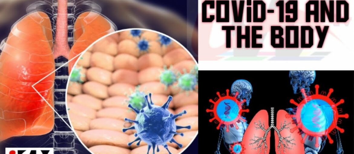 Coronavirus and the body: What Happens When You Get Infected?