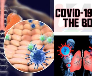 Coronavirus and the body: What Happens When You Get Infected?