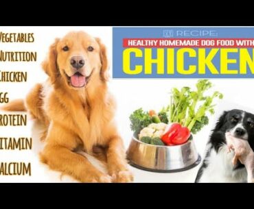 HEALTHY HOMEMADE DOG FOOD RECIPES | WINTER DOG FOOD | VEGETABLES | NUTRITION | CHICKEN| VITAMIN |