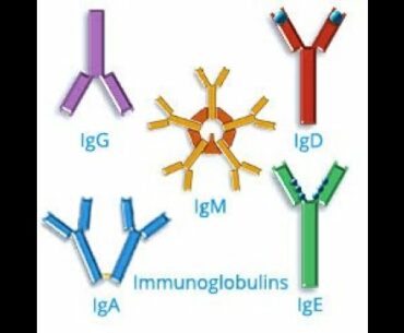 Special Lecture on Bioscience: Immune system