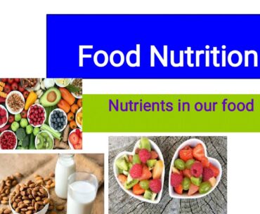 Food Nutrition - Nutrients in our food