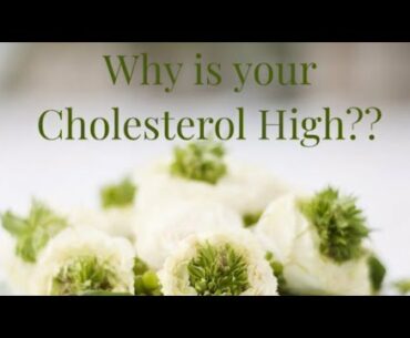 Why your cholesterol levels are  high? Best Treatment to balance Cholesterol levels