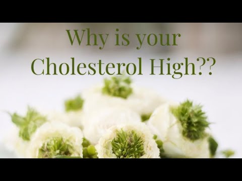 Why your cholesterol levels are  high? Best Treatment to balance Cholesterol levels