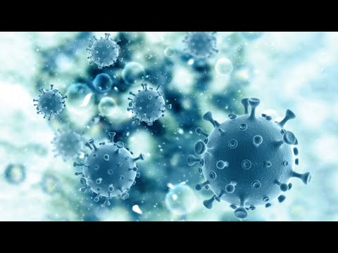 Coronavirus Vaccine Update | Apart from Vitamin D Vitamin C, There Are Two More Important Nutrients