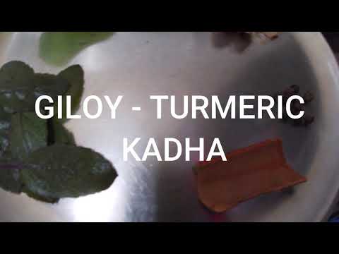 Giloy - Turmeric kadha for immunity