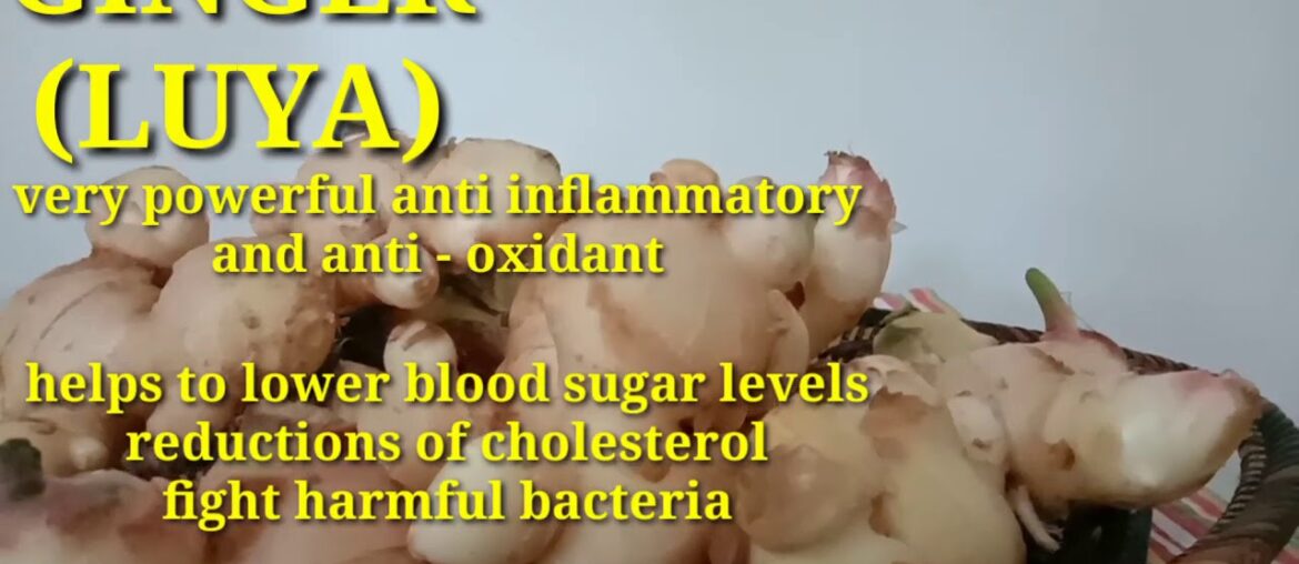 4 Perpektong Mabisang Sangkap Upang Immune System ay Palakasin ngayon may Covid-19 Pandemic