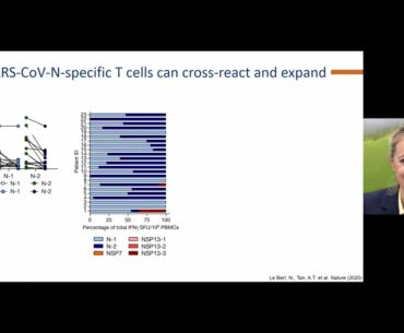 Nina Le Bert  SARS CoV 2 specifc T cell Immunity in COVID 19, SARS and Uninfected Controls