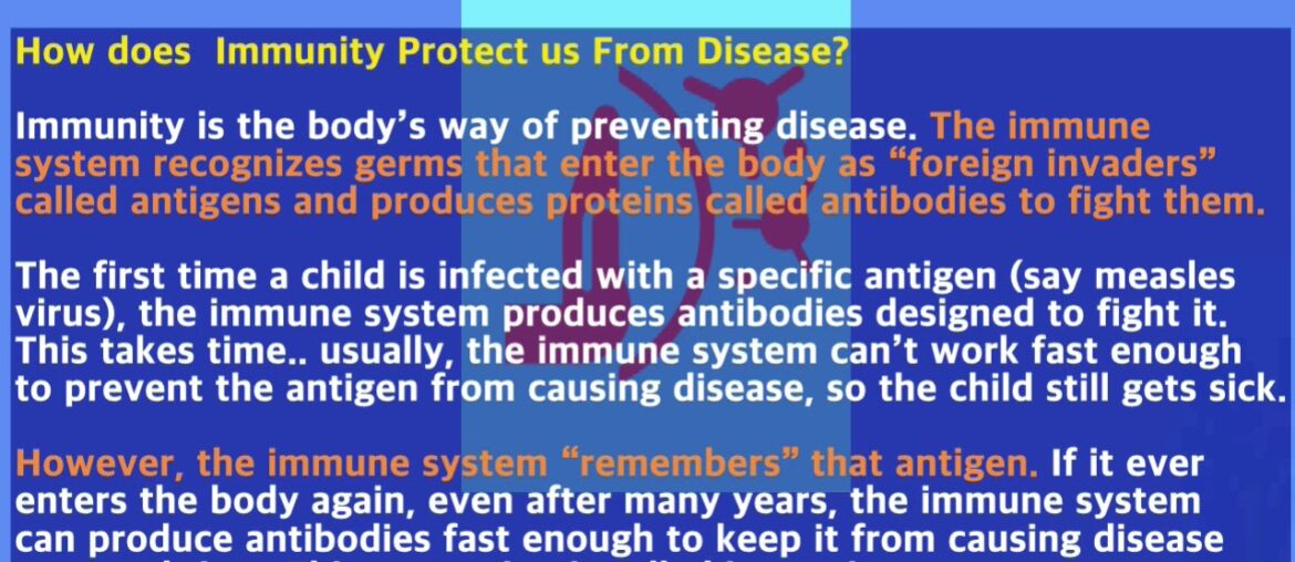 How Does  Immunity Protects Us From Disease? What Is Immunity?