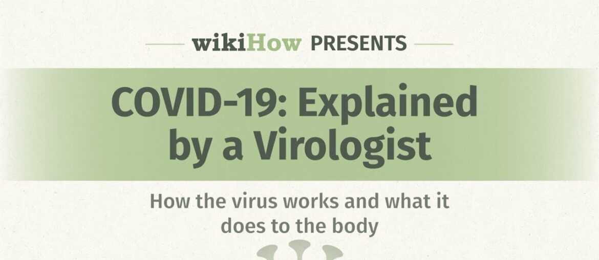 A Virologist Explains: What is a virus and how does COVID-19 affect the body?