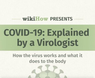 A Virologist Explains: What is a virus and how does COVID-19 affect the body?