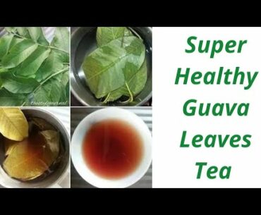 Incredible GUAVA LeafTEA || CINNAMON Health Benefits || PREBIOTIC Properties ||House of Antioxidants