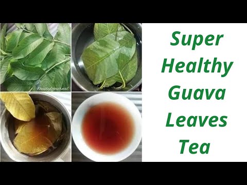 Incredible GUAVA LeafTEA || CINNAMON Health Benefits || PREBIOTIC Properties ||House of Antioxidants