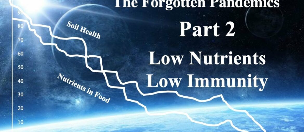 The Forgotten Pandemics Part 2, Low Nutrients, Low Immunity