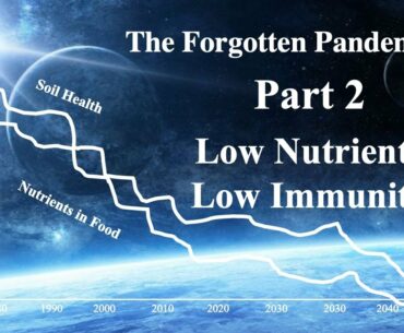 The Forgotten Pandemics Part 2, Low Nutrients, Low Immunity