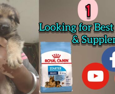 Puppy Food and Supplements || For 1st time dog owners || Annie & Alex