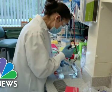 How Does Experimental Covid-19 Treatment Trump Received Work? | NBC News