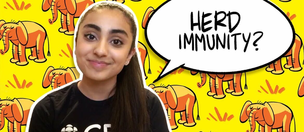 What does herd immunity mean? | CBC Kids News