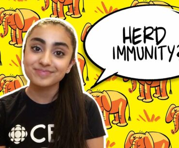 What does herd immunity mean? | CBC Kids News