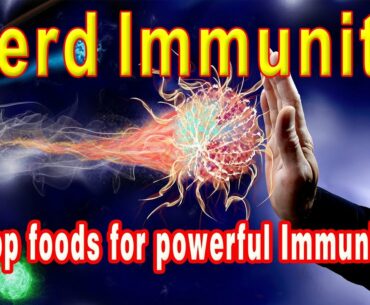 Herd Immunity | Covid 19 | corona virus herd immunity| Herd Immunity | top foods for herd Immunity