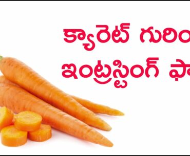 Interesting Facts About Carrot Carrot Health Benefits Carrot Nutrition Facts Nenu Mee Radhika