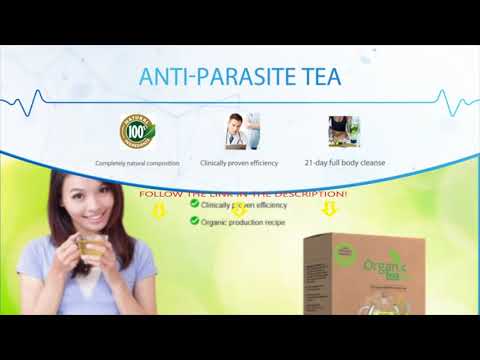 Anti Parasite Supplements