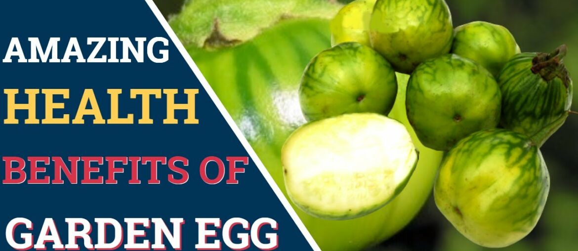 Amazing Health Benefits Of Garden Egg