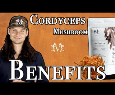 Cordyceps Mushroom Benefits | More Energy, Balanced Immune System, Better Breathing