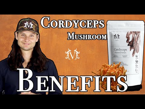 Cordyceps Mushroom Benefits | More Energy, Balanced Immune System, Better Breathing