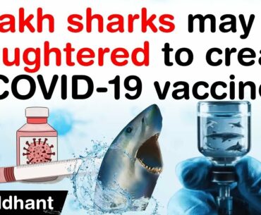 Covid 19 Vaccine Development - 5 lakh sharks may be slaughtered to create Covid 19 vaccine #UPSC