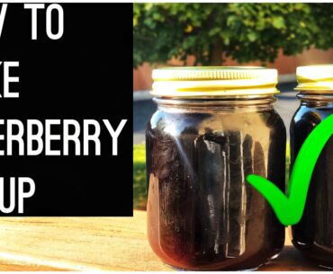 HOW TO MAKE ELDERBERRY SYRUP FOR [IMMUNE SYSTEM SUPPORT]