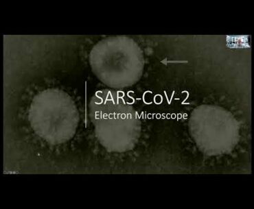 COVID 19:Coronavirus Update by David Sander PhD, Virologist & Mayor of Rancho Cordova, CA