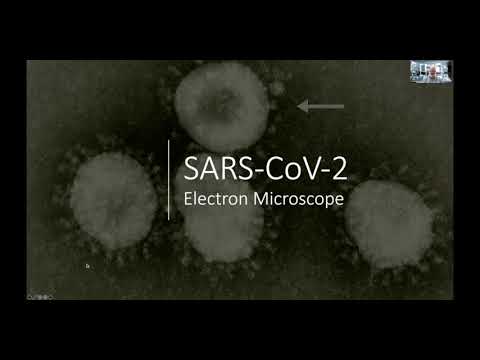 COVID 19:Coronavirus Update by David Sander PhD, Virologist & Mayor of Rancho Cordova, CA