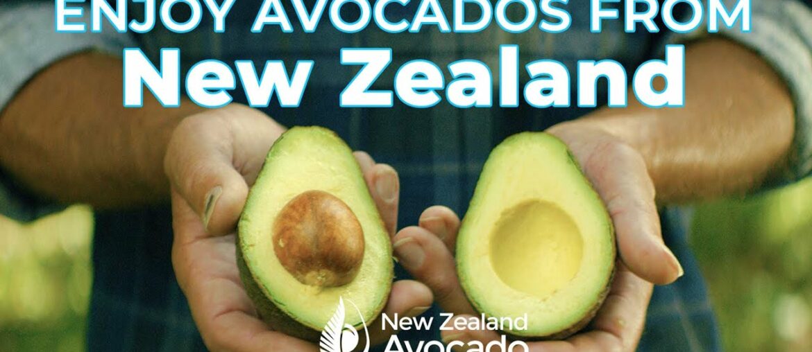 Why are New Zealand avocados so nutritious?