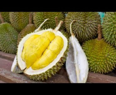 The STINKIEST Yet HEALTHIEST Fruit In The World - DURIAN FRUIT