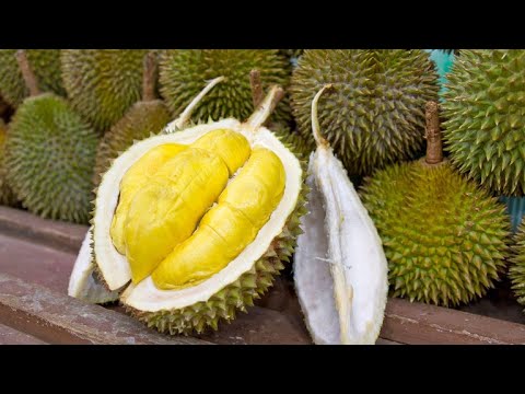 The STINKIEST Yet HEALTHIEST Fruit In The World - DURIAN FRUIT