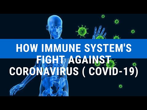 How Immune System's Fight Against Coronavirus (COVID-19)